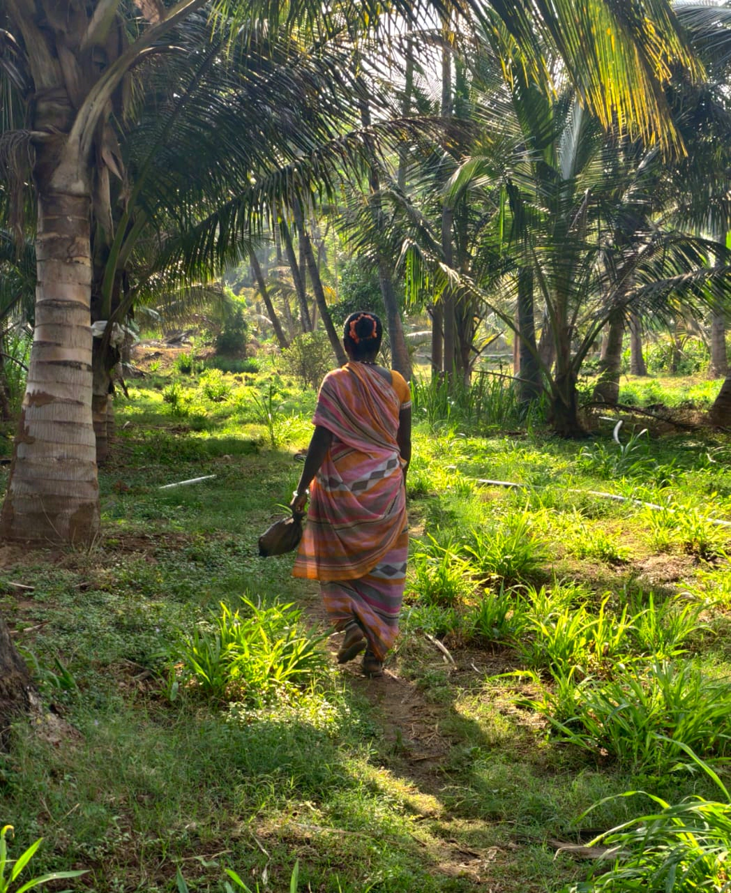 Walking with Mangalamma: Foraging, Knowledge, and the Everyday Technologies of Care
