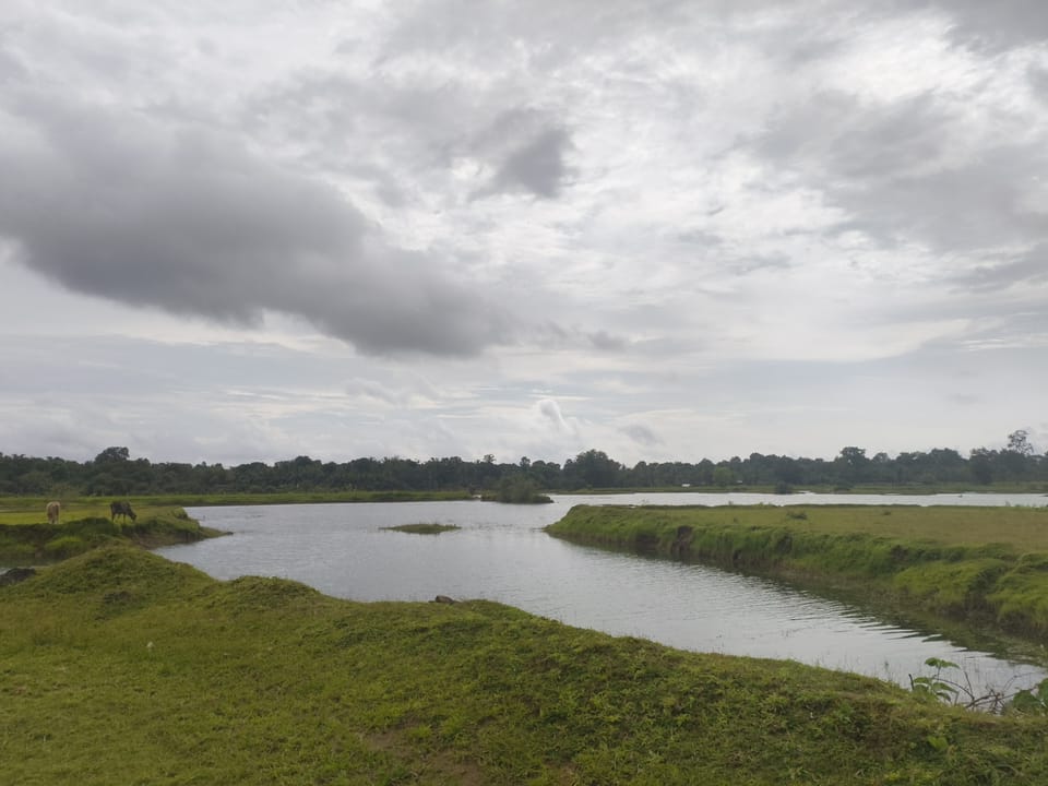 A dense cloud of rain, looming over an open, lush green patch of grass with a small pond in the center.