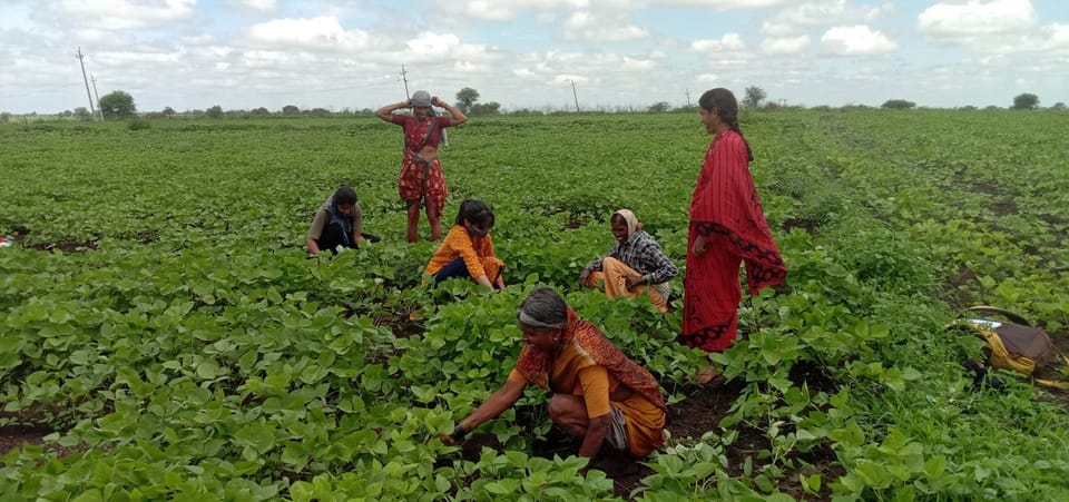 'Shaddi Kaleyuvudu' as a way to engage with women farmers