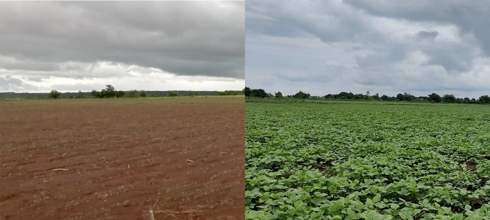 In-Conversation: On observing weather variations and climate shifts