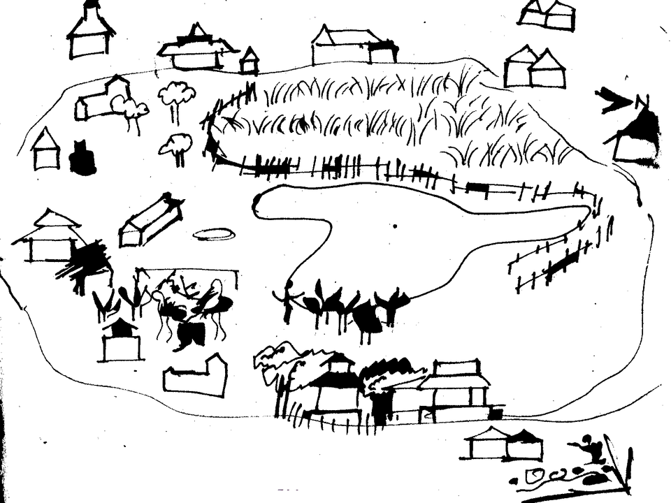 More-than-human Networks of Hara